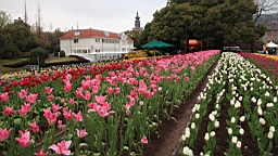2014-03-262306.JPG