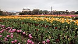 2014-03-262307.JPG