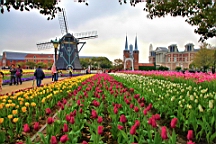 2014-03-262309.JPG