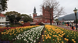 2014-03-262314.JPG