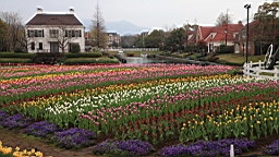 2014-03-262319.JPG