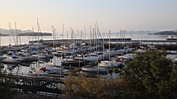 2014-03-272483.JPG