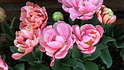 2014-03-272491.JPG