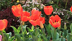 2014-03-272493.JPG