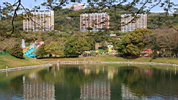 2014-03-272520.JPG
