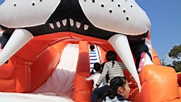 2014-03-272526.JPG