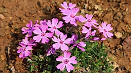 2014-03-272555.JPG