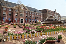 2014-03-272584.JPG