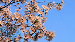 2014-03-272675.JPG