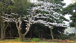2014-03-282689.JPG