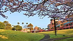 2014-03-282702.JPG