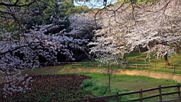 2014-03-282706.JPG