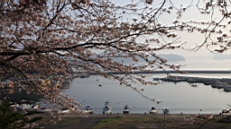 2014-03-282710.JPG