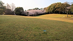 2014-03-282713.JPG