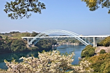 2014-03-282760.JPG