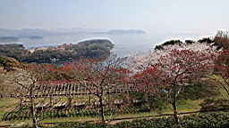 2014-03-282790.JPG