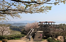 2014-03-282794.JPG