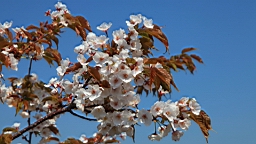 2014-03-282800.JPG