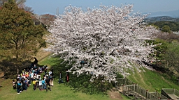 2014-03-282801.JPG