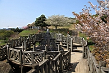 2014-03-282805.JPG