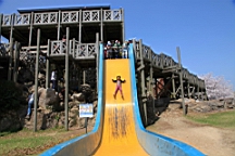 2014-03-282809.JPG