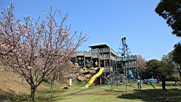 2014-03-282821.JPG