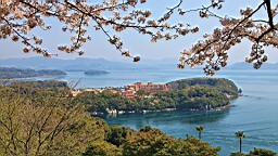 2014-03-282833.JPG