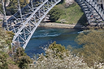 2014-03-282851.JPG