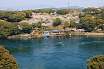 2014-03-282864.JPG