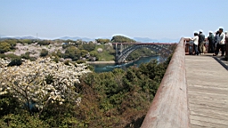 2014-03-282891.JPG