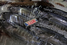 2014-03-282898.JPG