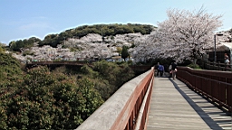 2014-03-282923.JPG