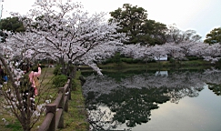2014-03-282944.JPG