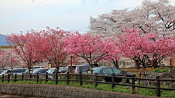 2014-03-282946.JPG