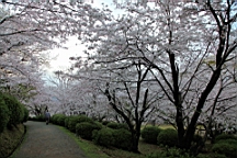 2014-03-282953.JPG