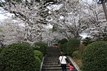 2014-03-282957.JPG
