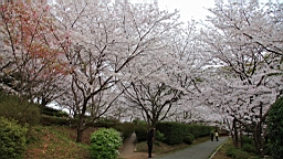 2014-03-282958.JPG