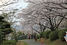 2014-03-282960.JPG