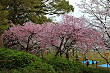 2014-03-282963.JPG