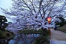 2014-03-282964.JPG