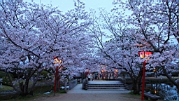 2014-03-282973.JPG