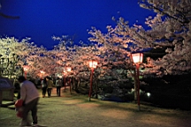 2014-03-282983.JPG