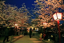 2014-03-282985.JPG