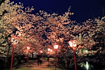 2014-03-282989.JPG