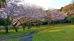 20140328_064733_8_bestshot.jpg