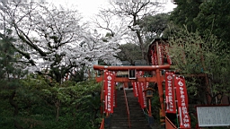 2014-03-293000.JPG