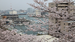 2014-03-293004.JPG