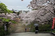2014-03-293011.JPG