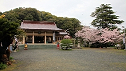2014-03-293012.JPG