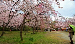 2014-03-293017.JPG